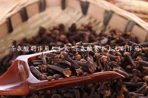 茶氨酸副作用大不大  茶氨酸基本上无副作用