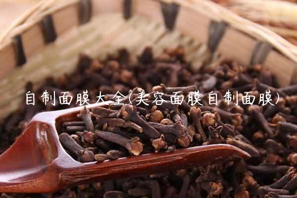 自制面膜大全(美容面膜自制面膜)