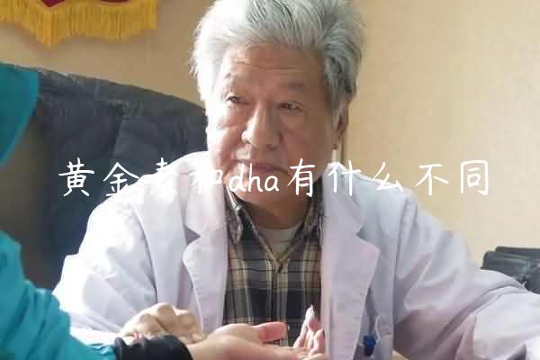 黄金素和dha有什么不同