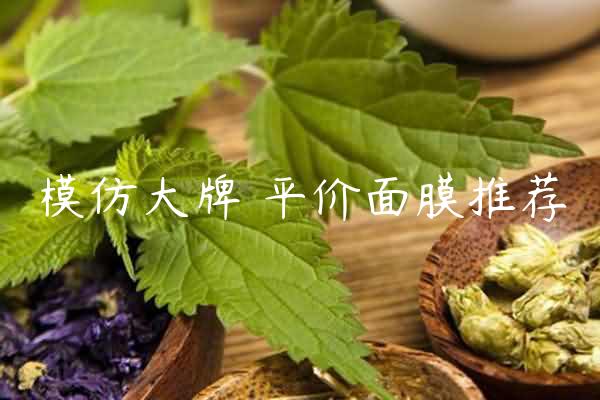 模仿大牌 平价面膜推荐