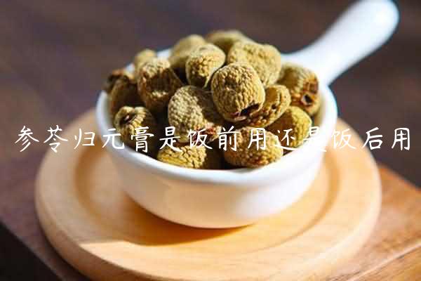 参苓归元膏是饭前用还是饭后用