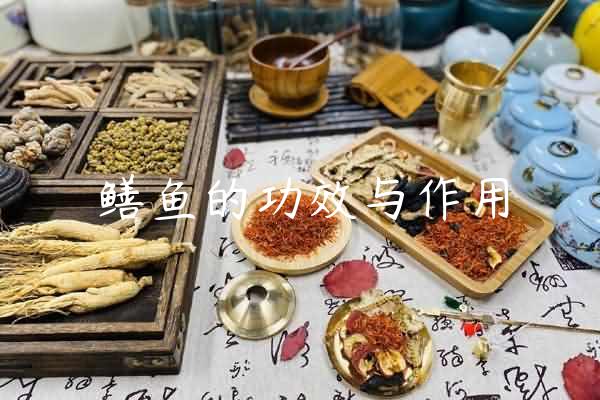 鳝鱼的功效与作用