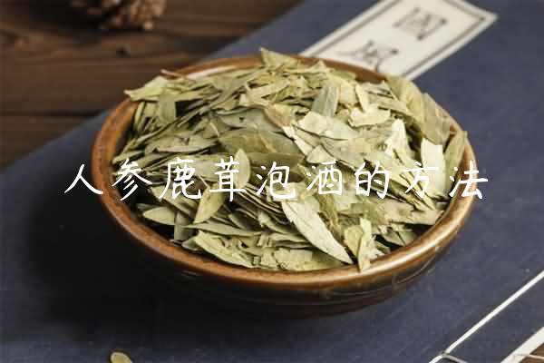 人参鹿茸泡酒的方法