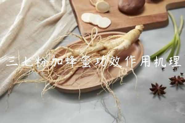 三七粉加蜂蜜功效作用机理