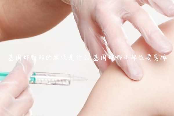 基围虾腹部的黑线是什么 基围虾哪些部位要剪掉