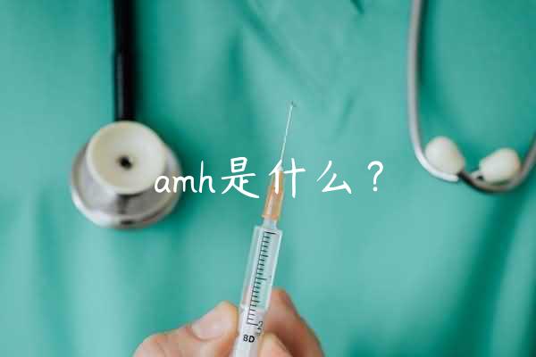 amh是什么？