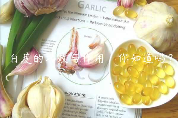 白芨的功效与作用，你知道吗？