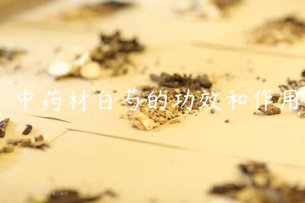 中药材白芍的功效和作用