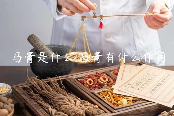 马膏是什么 马膏有什么作用