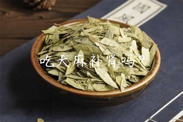 吃天麻补肾吗？