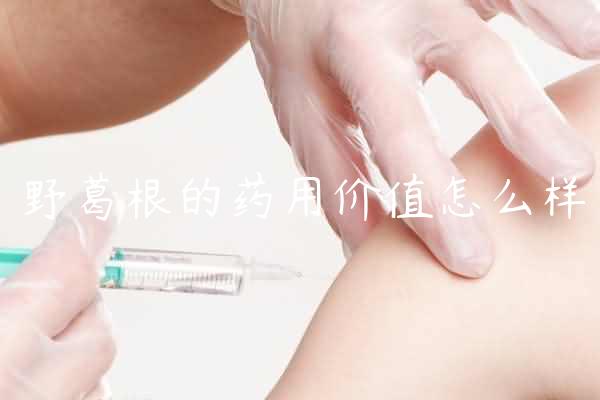 野葛根的药用价值怎么样