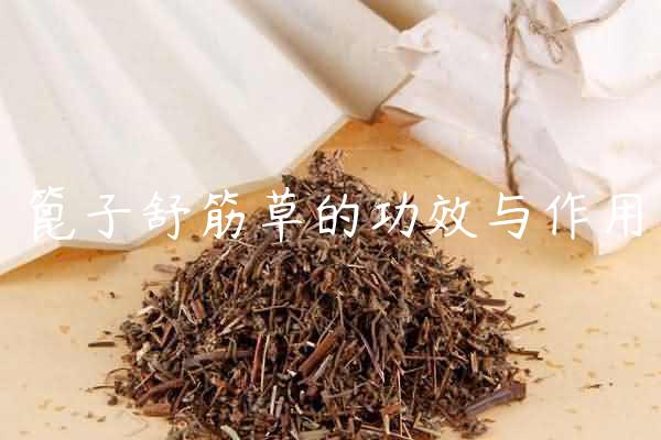 篦子舒筋草的功效与作用