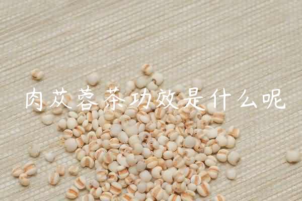 肉苁蓉茶功效是什么呢