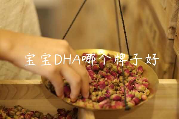 宝宝DHA哪个牌子好