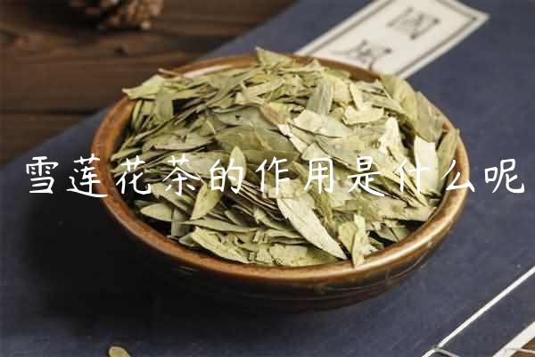 雪莲花茶的作用是什么呢