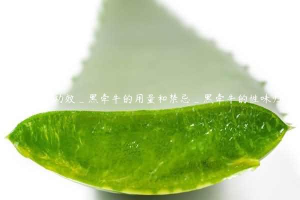 黑牵牛的功效_黑牵牛的用量和禁忌_黑牵牛的性味归经