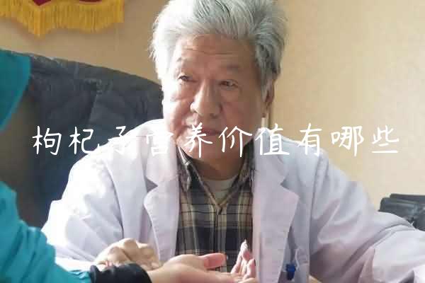 枸杞子营养价值有哪些