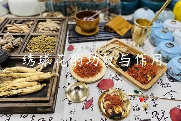 绣球花的功效与作用