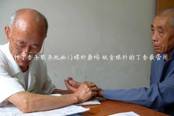 哪种丁香茶能杀死幽门螺杆菌吗 桃金娘科的丁香最管用