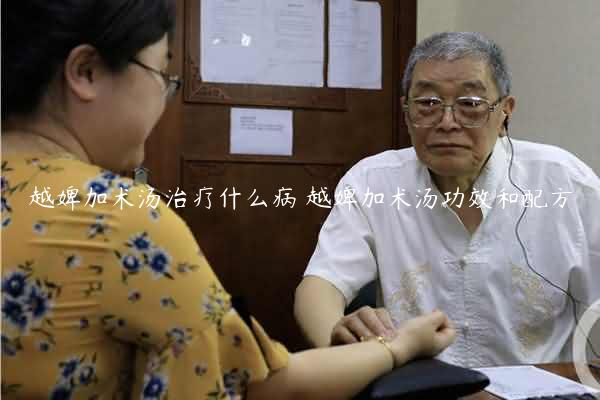 越婢加术汤治疗什么病 越婢加术汤功效和配方