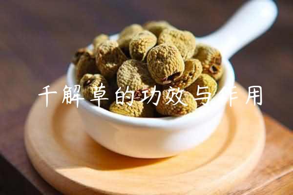 千解草的功效与作用